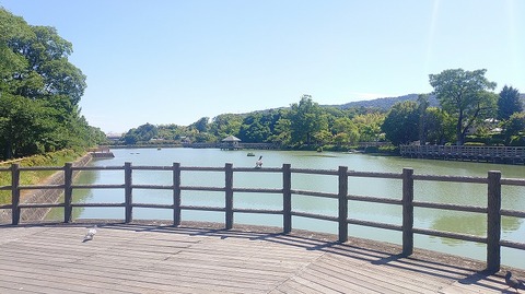 KIMG20260530_140330886