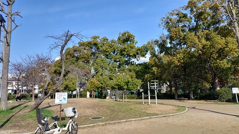 KIMG20260307_090253125