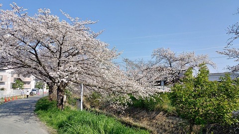 KIMG20260403_082144553