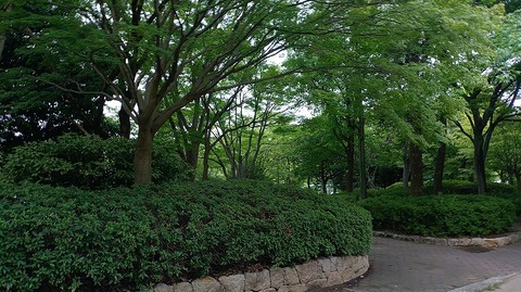 KIMG20260730_060726665
