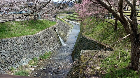 KIMG20260331_112213110