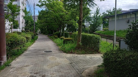 KIMG20260703_080515627