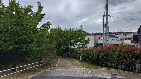 KIMG20261004_080735795