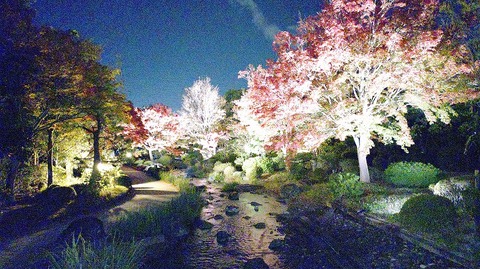 KIMG20251121_175528741