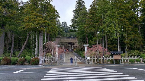 KIMG20260407_094457521