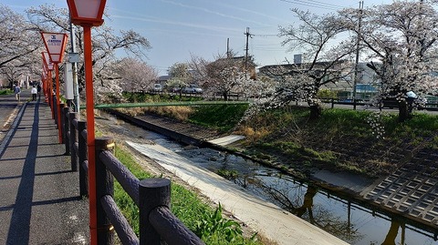 KIMG20260403_082747121