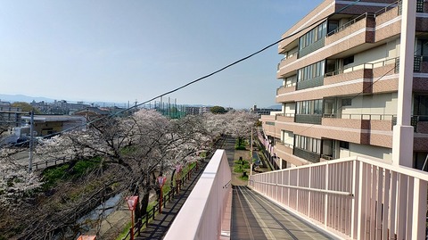 KIMG20260403_082949214