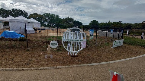 KIMG20251011_131027466