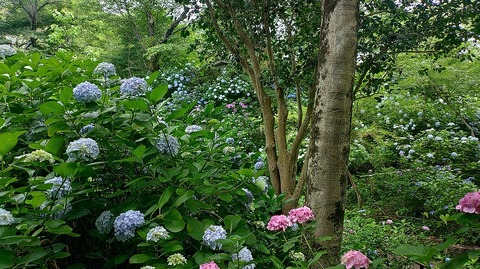 KIMG20260618_101338436