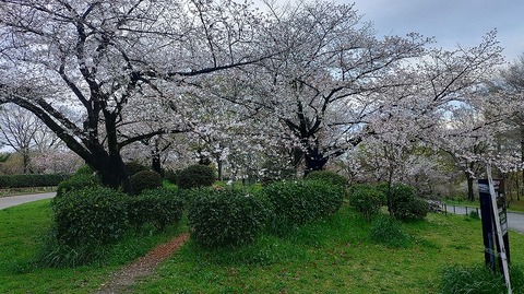 KIMG20260402_063934958