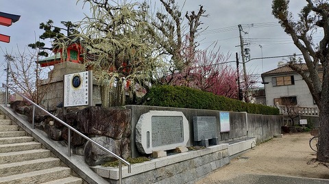 KIMG20260302_122250506