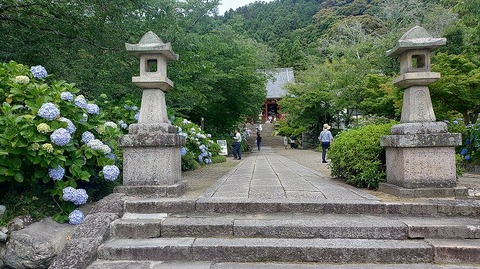KIMG20260618_101911908