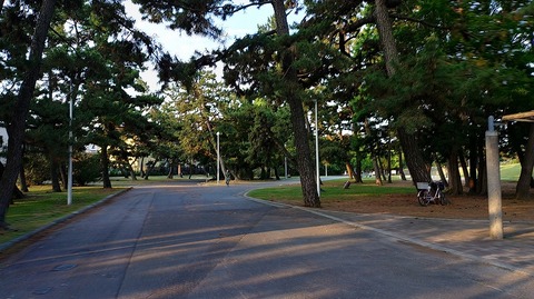 KIMG20260612_055409964