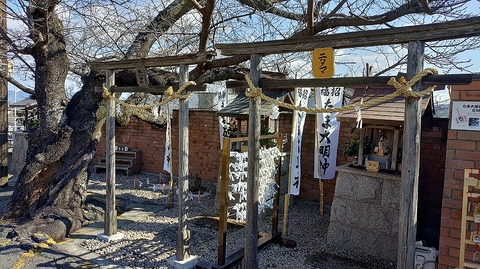 KIMG20260218_101431794