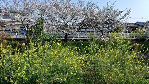 KIMG20260403_082102306