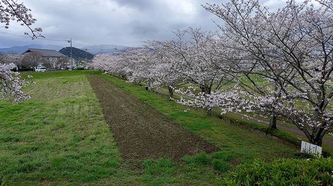 KIMG20260331_104856376