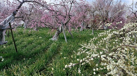 KIMG20260224_123830381