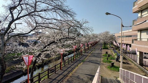 KIMG20260403_082925709