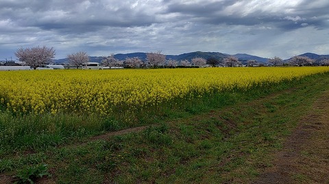 KIMG20260331_103945176