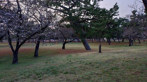 KIMG20260329_062232957