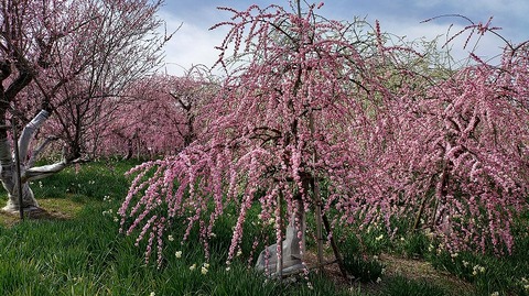 KIMG20260224_123640020