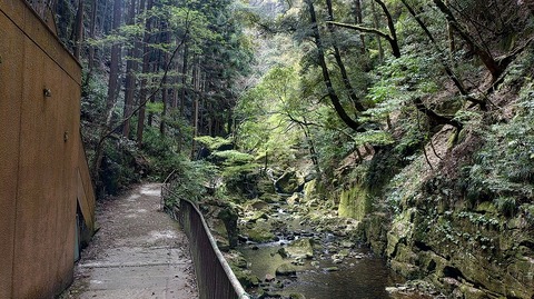 KIMG20260417_115754539