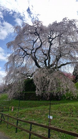 KIMG20260331_112428873