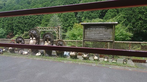 KIMG20260714_114315355