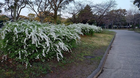 KIMG20260327_060022472