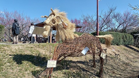 KIMG20260218_124512624