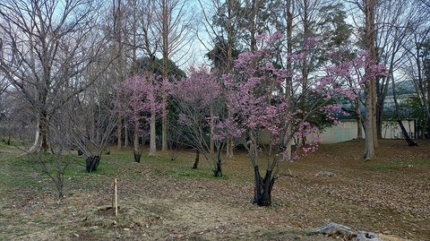 KIMG20260306_065455413