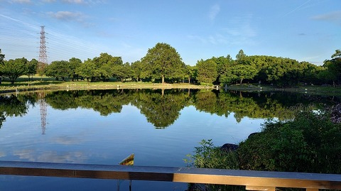 KIMG20260617_054018150