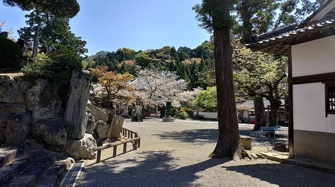 KIMG20260408_105106284