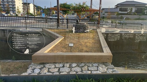 KIMG20260809_055759777