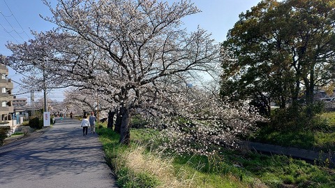 KIMG20260403_082345704