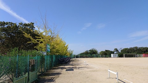 KIMG20261016_110939436