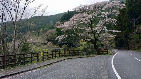 KIMG20260407_131514246