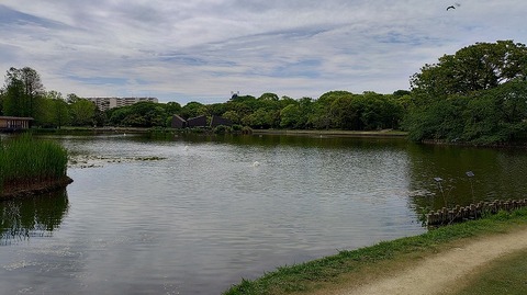 KIMG20260422_095630125