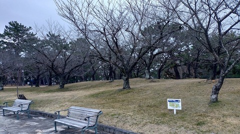 KIMG20260216_065535600