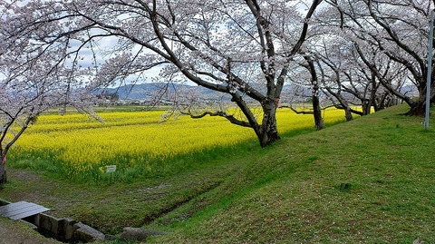 KIMG20260331_104418992