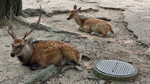 KIMG20250917_115204662