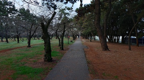 KIMG20260329_062347579