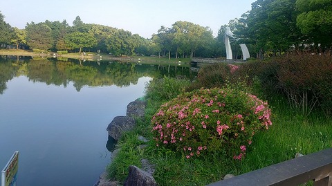 KIMG20260516_055551773