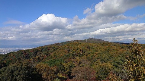 KIMG20251119_131736099