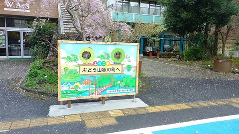 KIMG20260407_123725506