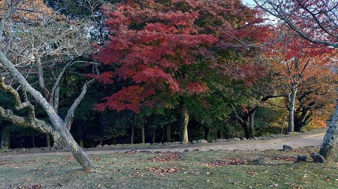 KIMG20251119_153423020