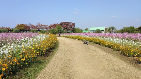 KIMG20251114_103531350