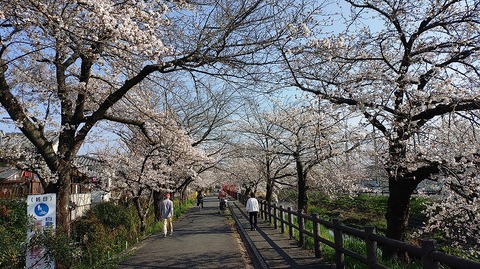 KIMG20260403_082619258