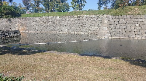 KIMG20251108_111657378