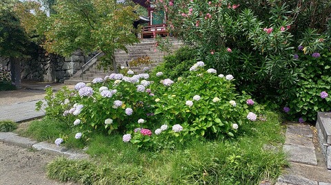 KIMG20260618_100038686